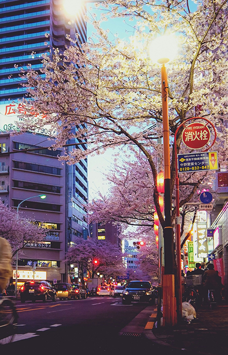 pic